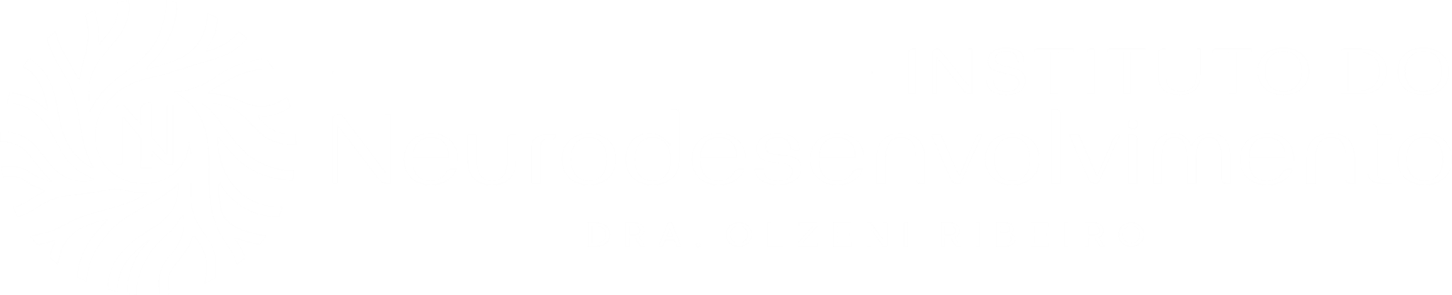 Instituto do Neurodesenvolvimento Dra. Olzeni Ribeiro